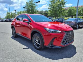 2024 Lexus NX 250 for sale in Nashville TN