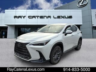 2025 Lexus NX 250