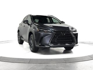 2025 Lexus NX 250 for sale in Schaumburg IL