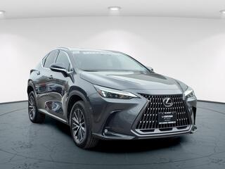 2024 Lexus NX 250