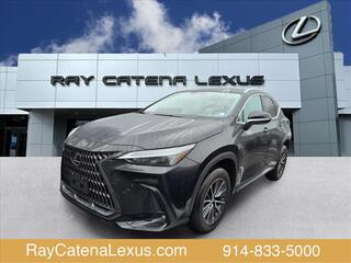 2022 Lexus NX 250 for sale in Larchmont NY