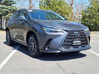 2024 Lexus NX 250