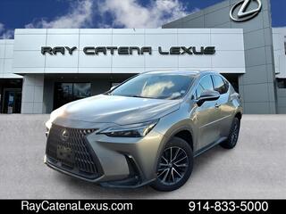 2022 Lexus NX 250 for sale in Larchmont NY