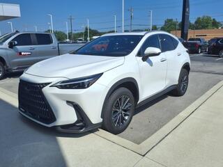 2022 Lexus NX 250 for sale in Toledo OH