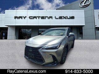 2024 Lexus NX 350 for sale in Larchmont NY