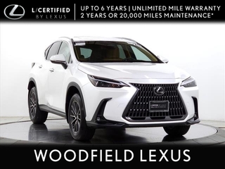 2024 Lexus NX 350