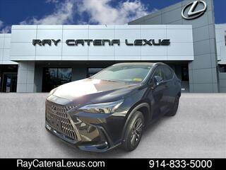2026 Lexus NX 350 for sale in Larchmont NY
