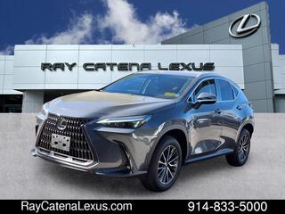 2022 Lexus NX 350