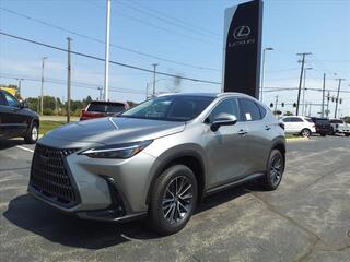 2025 Lexus NX 350 for sale in Toledo OH