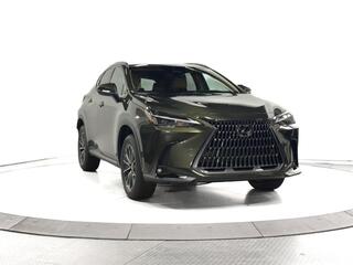 2025 Lexus NX 350 for sale in Schaumburg IL