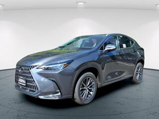 2025 Lexus NX 350 for sale in Freehold NJ