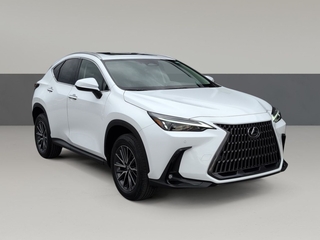 2026 Lexus NX 350 for sale in Chattanooga TN