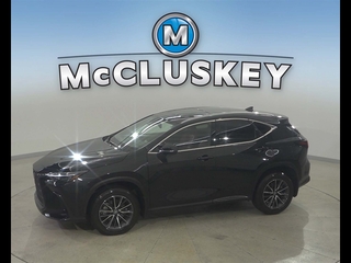 2022 Lexus NX 350