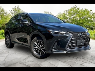 2024 Lexus NX 350 for sale in Freehold NJ