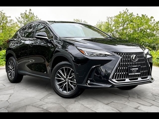 2024 Lexus NX 350 for sale in Freehold NJ