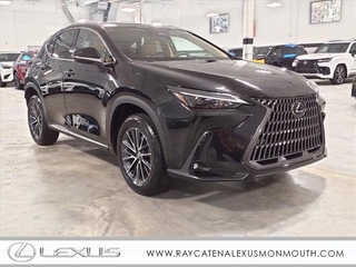 2025 Lexus NX 350 for sale in Oakhurst NJ