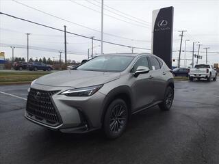 2025 Lexus NX 350 for sale in Toledo OH