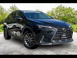 2024 Lexus NX 350 for sale in Freehold NJ
