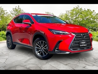 2025 Lexus NX 350 for sale in Freehold NJ