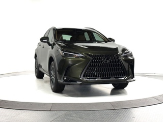 2025 Lexus NX 350 for sale in Schaumburg IL