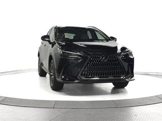 2025 Lexus NX 350 for sale in Schaumburg IL