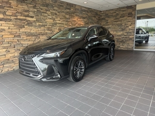 2025 Lexus NX 350 for sale in Allentown PA