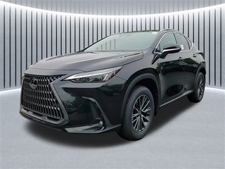 2025 Lexus NX 350 for sale in Schaumburg IL