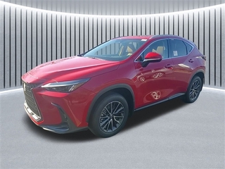 2025 Lexus NX 350 for sale in Schaumburg IL