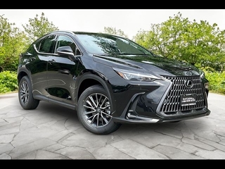 2026 Lexus NX 350 for sale in Freehold NJ