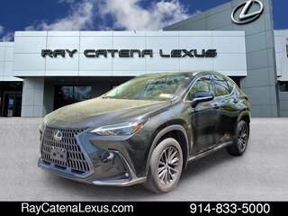 2023 Lexus NX 350 for sale in Larchmont NY