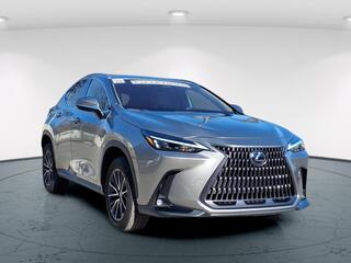 2024 Lexus NX 350 for sale in Freehold NJ