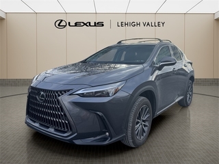 2025 Lexus NX 350 for sale in Allentown PA