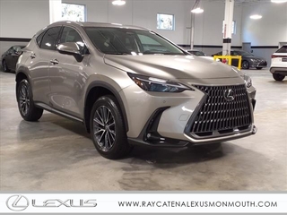 2025 Lexus NX 350 for sale in Oakhurst NJ