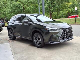 2025 Lexus NX 350 for sale in Durham NC