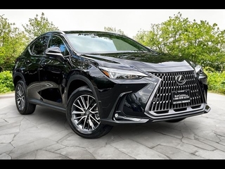2026 Lexus NX 350 for sale in Freehold NJ
