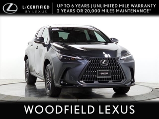 2024 Lexus NX 350 for sale in Schaumburg IL