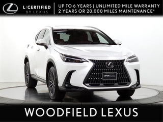 2025 Lexus NX 350 for sale in Schaumburg IL