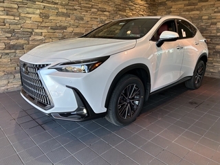 2025 Lexus NX 350 for sale in Allentown PA