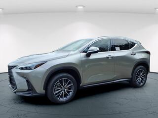 2025 Lexus NX 350 for sale in Freehold NJ