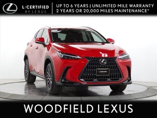 2022 Lexus NX 350 for sale in Schaumburg IL