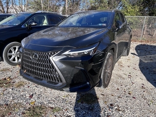 2025 Lexus NX 350 for sale in Allentown PA