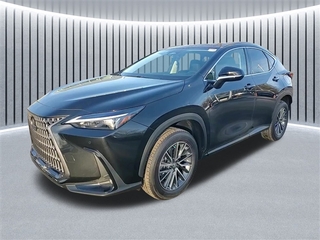 2025 Lexus NX 350 for sale in Schaumburg IL