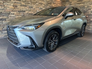 2025 Lexus NX 350 for sale in Allentown PA