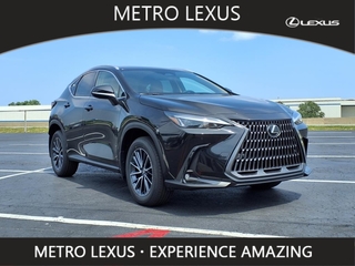 2025 Lexus NX 350 for sale in Cleveland OH