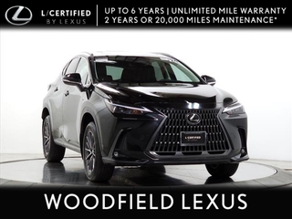 2024 Lexus NX 350 for sale in Schaumburg IL