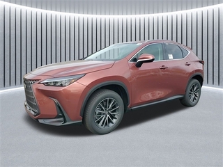 2025 Lexus NX 350 for sale in Schaumburg IL