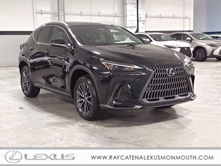 2025 Lexus NX 350 for sale in Freehold NJ