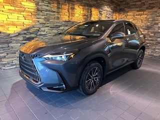 2025 Lexus NX 350 for sale in Allentown PA