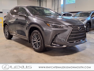 2025 Lexus NX 350