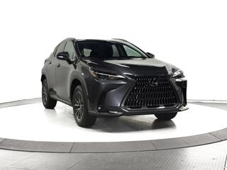 2026 Lexus NX 350 for sale in Schaumburg IL